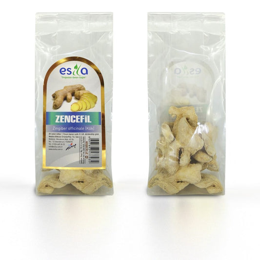 Zencefil